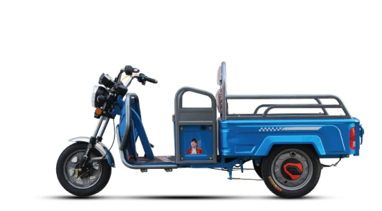 Usine de vente en toute sécurité Scooter Moto Transport Trike Motor Cargo E Rickshaw Loader Tricycle électrique avec grande capacité pour adulte