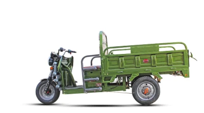 Coffre-fort pas cher forte puissance Tuk Tuk de bonne qualité 500W/800W/1000W Tricycle de mobilité électrique Grand Cargo Trike