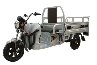 2023 plus récent tricycle électrique d'apparence simple et atmosphérique 1000W moteur 60V45ah batterie Tricycle électrique