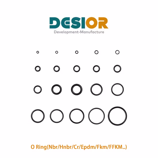 Joint torique personnalisé Joint torique standard HNBR Joint torique coloré