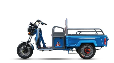 La Chine Fournisseur de la Chine à trois roues Scooter camion 800W/1000W Garden Helper Trike Livraison Tricycle électrique de transport avec une grande cargaison